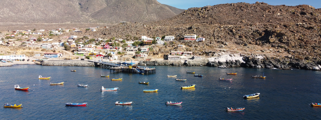 Emprediem busca a mentores/as para apoyar a emprendedores del Archipiélago de Humboldt